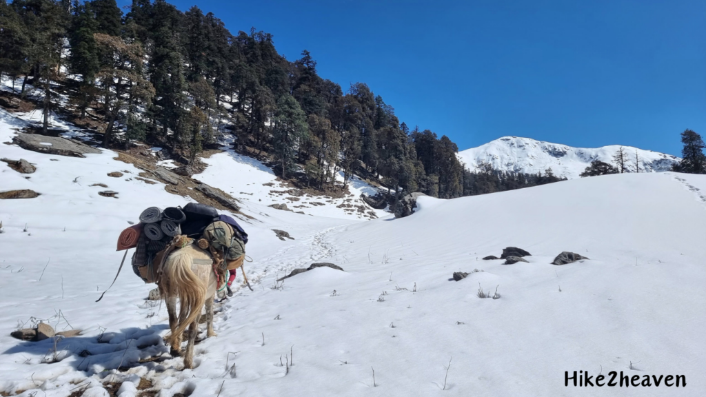 5 Best destination in uttrakhand,Winter Destinations in Uttarakhand