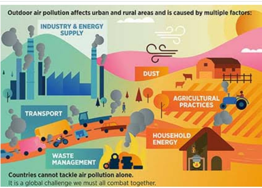 Air pollution in India,WHO