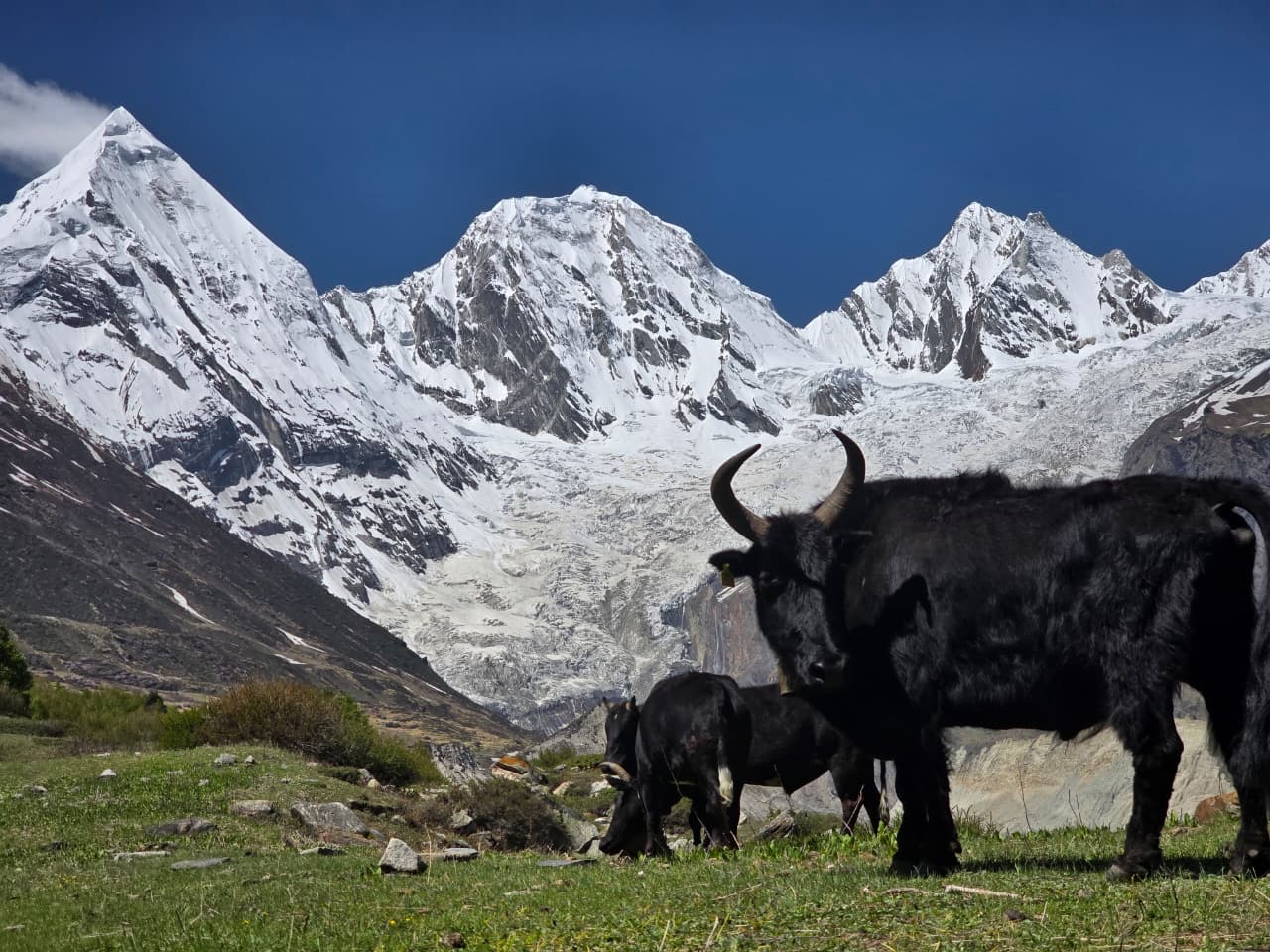 Darma valley