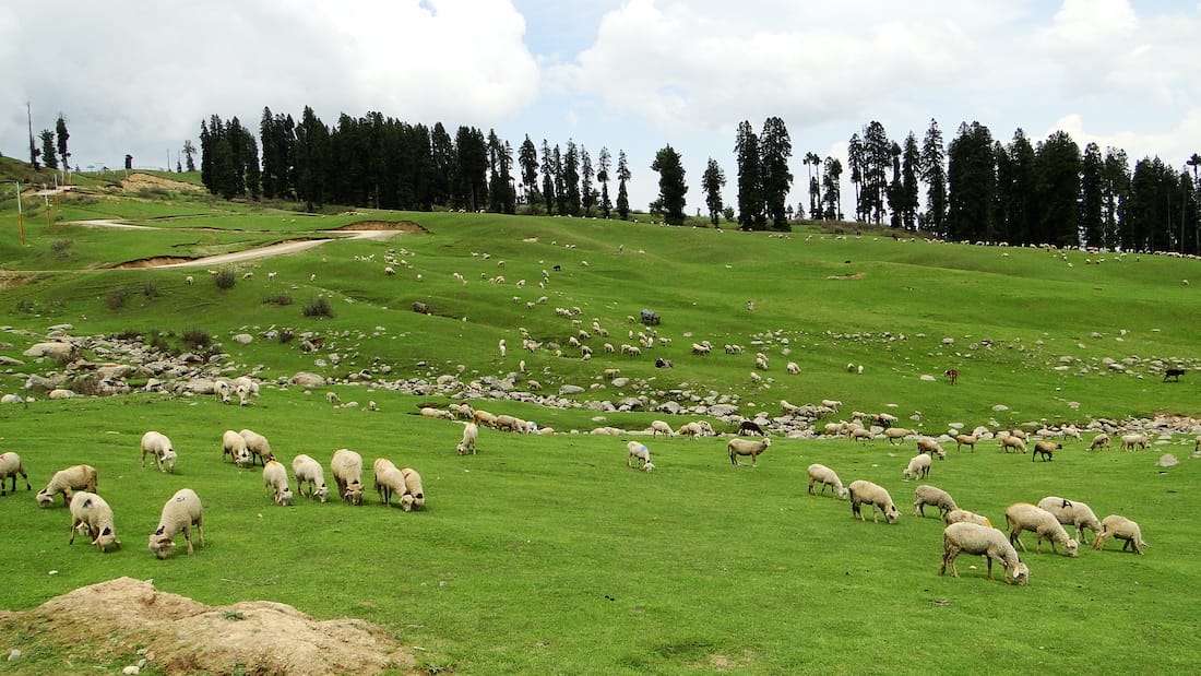 Doodhpathri Trek1