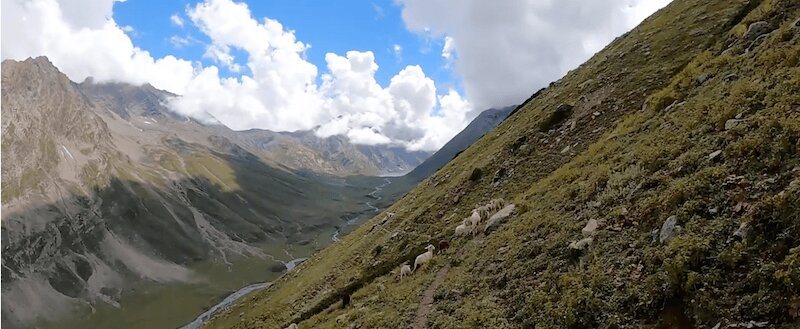 Nafran Valley Trek1